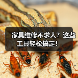 家具维修不求人?这些工具轻松搞定!(图2) 家具维修不求人?这些工具轻松搞定!(图2)