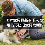 DIY家具翻新不求人 实用技巧让旧家具焕新秘籍（图1）