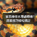 家具维修不用请师傅？简单技巧轻松搞定（图2）