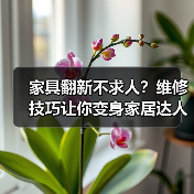 家具翻新不求人?维修技巧让你变身家居达人(图1) 家具翻新不求人?维修技巧让你变身家居达人(图1)