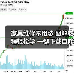 家具维修不用愁 图解教程轻松学 一键下载自修指南（图2）