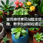 家具维修常见问题全攻略,新手也能轻松搞定!(图4) 家具维修常见问题全攻略,新手也能轻松搞定!(图4)