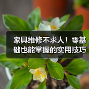 家具维修不求人!零基础也能掌握的实用技巧和视频教程(图2) 家具维修不求人!零基础也能掌握的实用技巧和视频教程(图2)