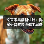 文章家具翻新生计:揭秘必备改装维修工具选购指南(图3) 文章家具翻新生计:揭秘必备改装维修工具选购指南(图3)