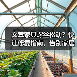 文章家具螺丝松动?快速修复指南,告别家居烦恼!(图4) 文章家具螺丝松动?快速修复指南,告别家居烦恼!(图4)