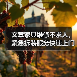 文章家具维修不求人,紧急拆装服务快速上门(图3) 文章家具维修不求人,紧急拆装服务快速上门(图3)