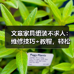 文章家具组装不求人:维修技巧+教程,轻松搞定家居问题(图3) 文章家具组装不求人:维修技巧+教程,轻松搞定家居问题(图3)