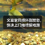 文章家具损坏别发愁，快速上门维修解难题（图4）
