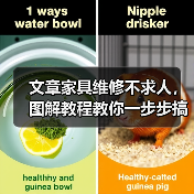 文章家具维修不求人,图解教程教你一步步搞定(图2) 文章家具维修不求人,图解教程教你一步步搞定(图2)