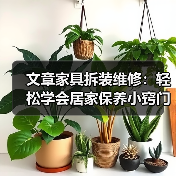 文章家具拆装维修：轻松学会居家保养小窍门（图4）