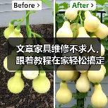 文章家具维修不求人,跟着教程在家轻松搞定!(图4) 文章家具维修不求人,跟着教程在家轻松搞定!(图4)