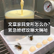 文章家具变形怎么办?紧急维修攻略大揭秘(图2) 文章家具变形怎么办?紧急维修攻略大揭秘(图2)