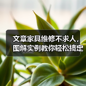 文章家具维修不求人,图解实例教你轻松搞定!(图2) 文章家具维修不求人,图解实例教你轻松搞定!(图2)
