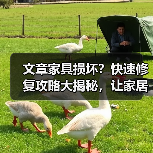 文章家具损坏?快速修复攻略大揭秘,让家居焕然一新!(图3) 文章家具损坏?快速修复攻略大揭秘,让家居焕然一新!(图3)