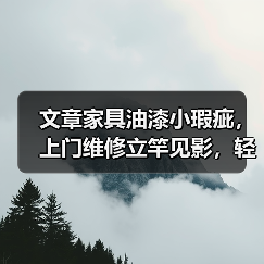 文章家具油漆小瑕疵，上门维修立竿见影，轻松恢复如新！（图4）