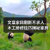 文章家具翻新不求人,木工维修技巧揭秘家具组装无忧(图4) 文章家具翻新不求人,木工维修技巧揭秘家具组装无忧(图4)