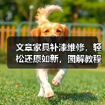 文章家具补漆维修,轻松还原如新,图解教程教你一招!(图2) 文章家具补漆维修,轻松还原如新,图解教程教你一招!(图2)