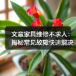 文章家具维修不求人:揭秘常见故障快速解决技巧(图2) 文章家具维修不求人:揭秘常见故障快速解决技巧(图2)