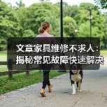 文章家具维修不求人:揭秘常见故障快速解决技巧(图3) 文章家具维修不求人:揭秘常见故障快速解决技巧(图3)