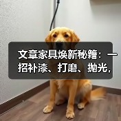 文章家具焕新秘籍：一招补漆、打磨、抛光，家具维修工具大揭秘（图4）