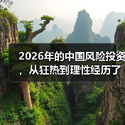 2026年的中国风险投资，从狂热到理性经历了什么？（图2）